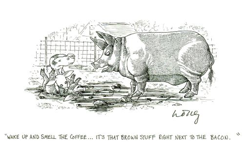 'Wake up and smell the coffee...it's that brown stuff right next to the bacon.'