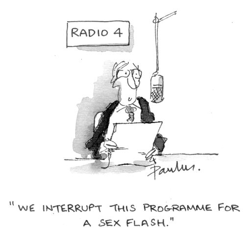 'We interrupt this programme for a sex flash.'