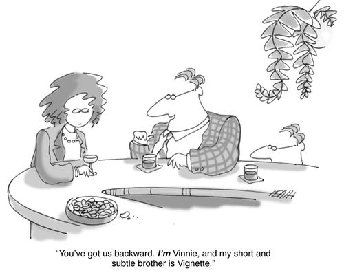 'You've got us backward. I'm Vinnie, and my short and subtle brother is Vignette.'