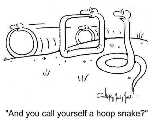 'And you call yourself a hoop snake?'