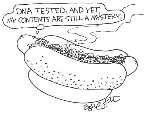 DNA tested and yet my contents are still a mystery.