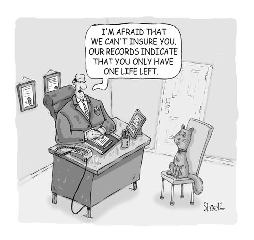 'I'm afraid that we can't insure you. Our records indicate that you only have one life left' 
