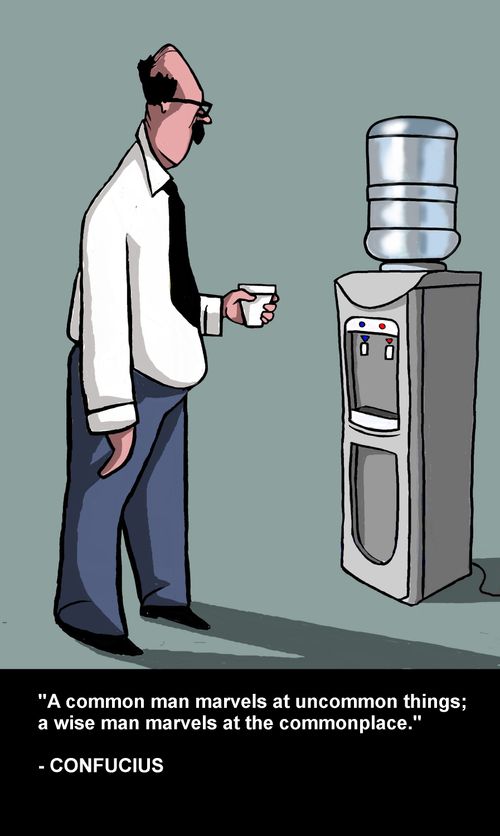 A wise man marvels at the commonplace.