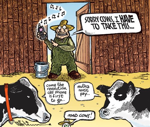 Mad Cow Revolution