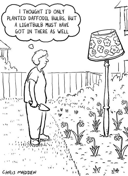 Planting bulbs - planting light bulbs.