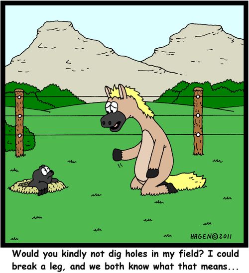 'Would you kindly not dig holes in my field? I could break a leg, and we both know what that means...'