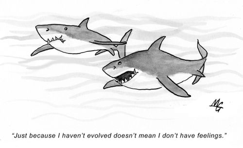 'Just because I haven't evolved doesn't mean I don't have feelings.'