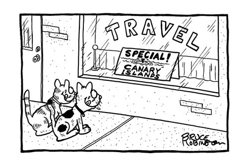 Travel Agency storefront window sign: SPECIAL! Canary Islands.