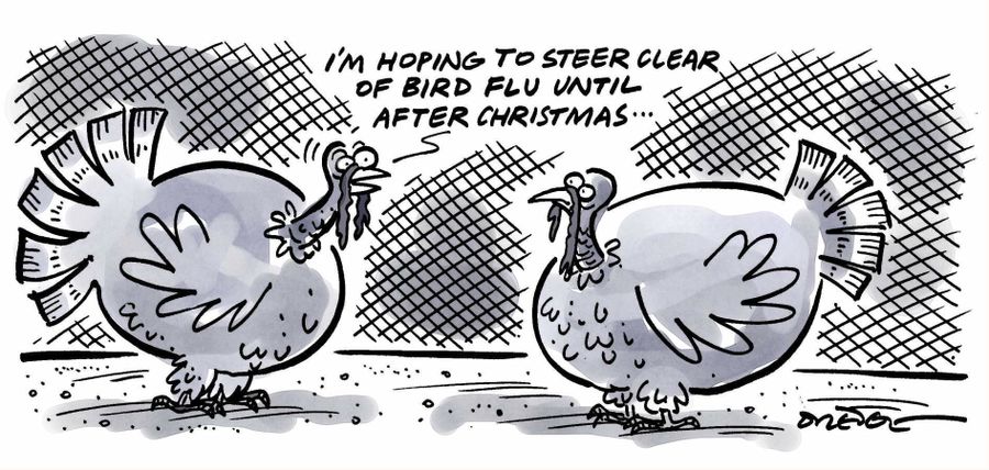 'I'm hoping to steer clear of bird flu until after Christmas...'