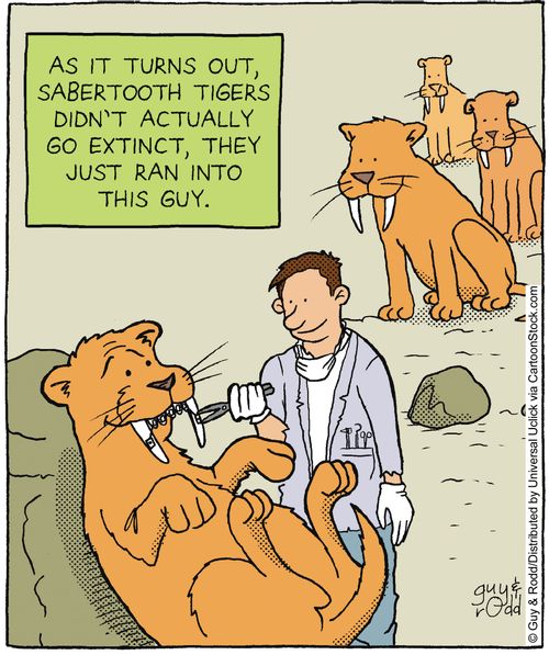 As it turns out, Sabre-tooth tigers didn't actually go extinct, they just ran into this guy.