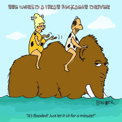 The World's First Backseat Driver: 'It's flooded! Just let it sit for a minute!'