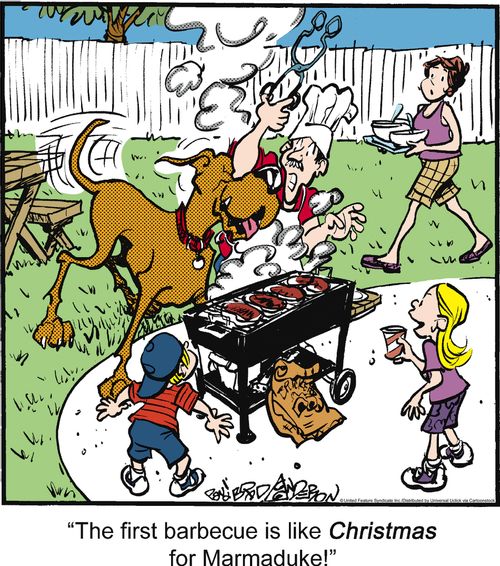 'The first barbecue is like Christmas for Marmaduke!'