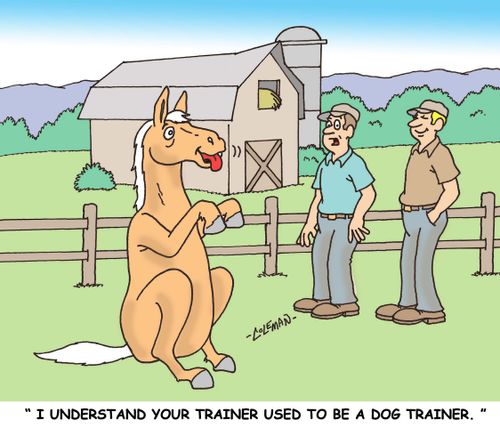 'I understand your trainer used to be a dog trainer.'