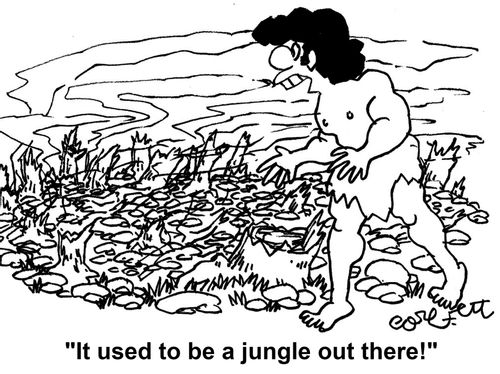 'It used to be a jungle out there!'