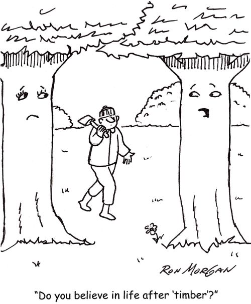 'Do you believe in life after 'timber'?'