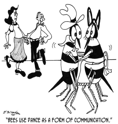 'Bees use dance as a form of communication.'