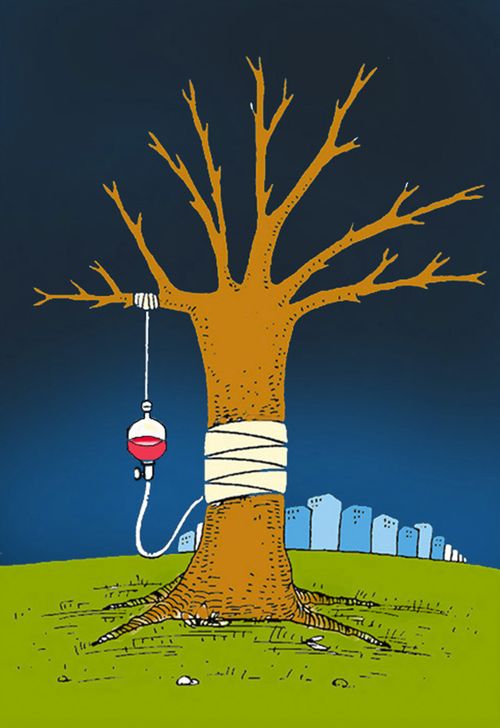 Tree surgery.