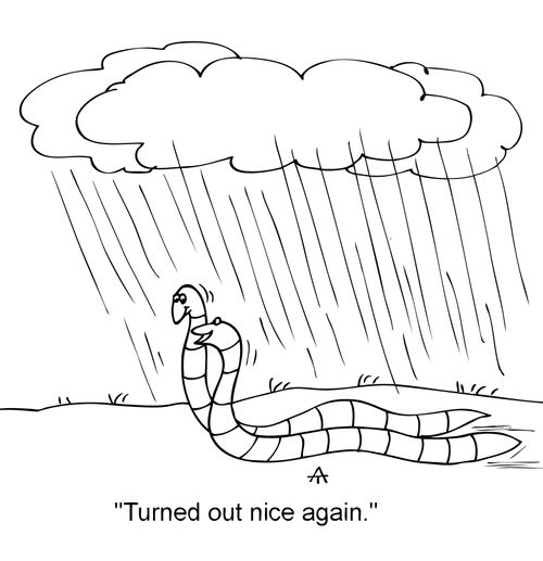 'Turned out nice again.'