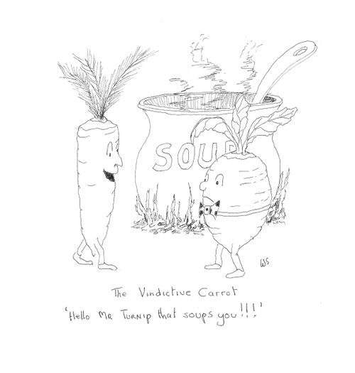 The Vindictive Carrot: 'Hello Mr Turnip that soups you!!!'