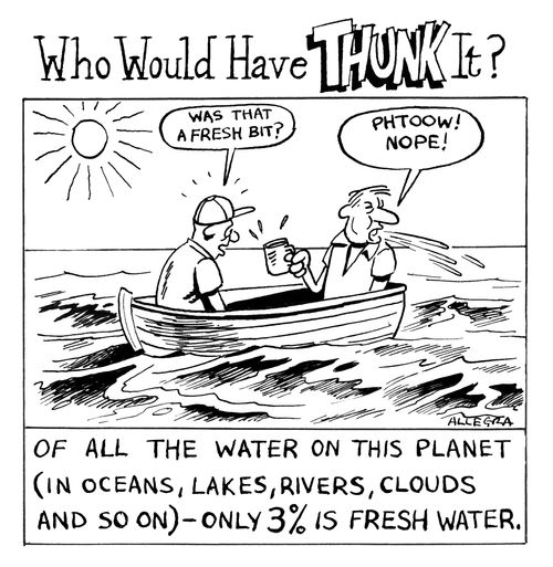 Of all the water on this planet (in oceans, lakes, rivers, clouds and so on) - only 3% is fresh water.