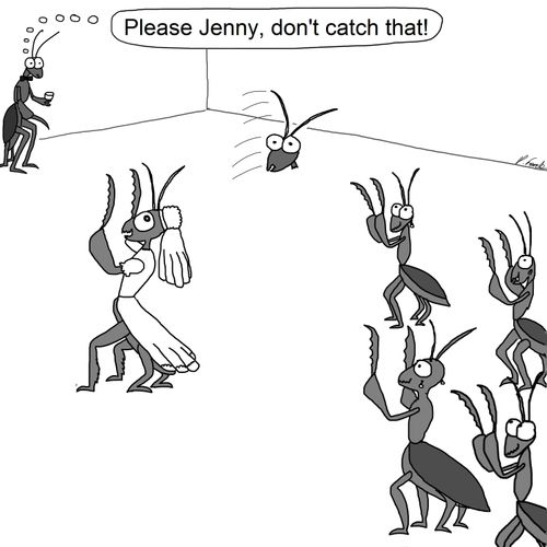 'Please Jenny, don't catch that!'