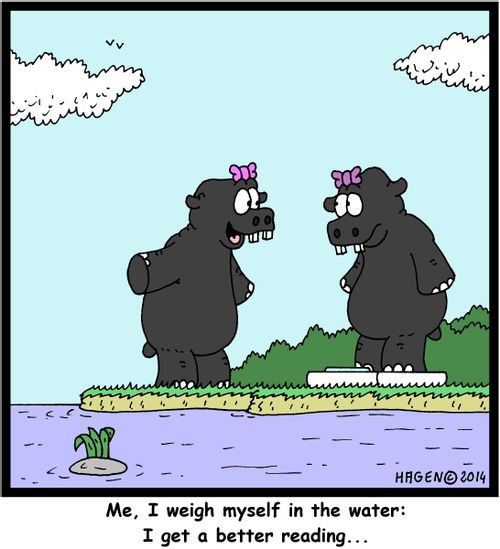 'Me, I weigh myself in the water: I get a better reading...'