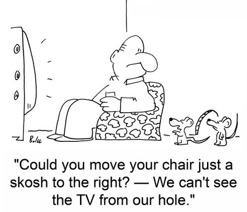 'Could you move your chair just a skosh to the right? - We can't see the TV from our hole.'