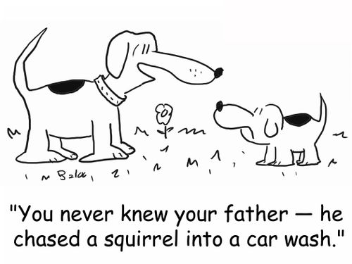 'You never knew your father -- he chased a squirrel into a car wash.'