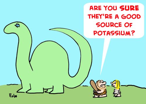 'Are you SURE they're a good source of potassium?'