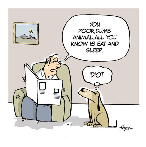 'You poor dumb animal, all you know is eat and sleep.' 