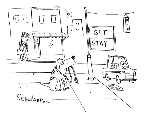 Dog responding to traffic sign saying 'Sit Stay'.