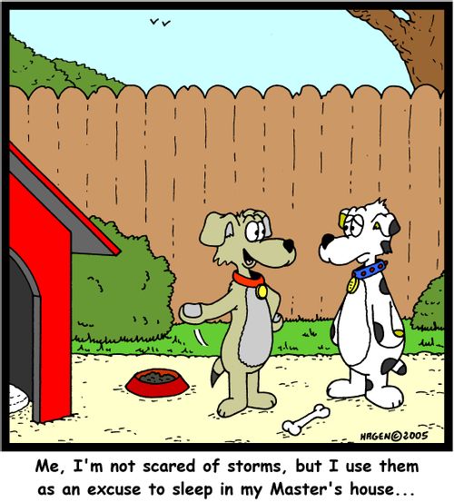 'Me, I'm not scared of storms, but I use them as an excuse to sleep in my Master's house...'