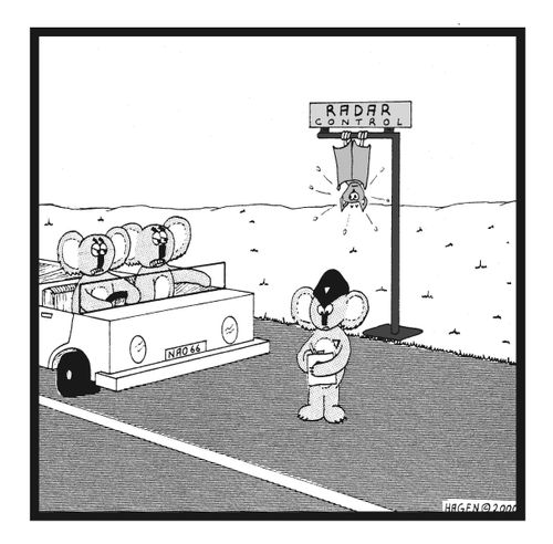 Bat Used for Radar Control