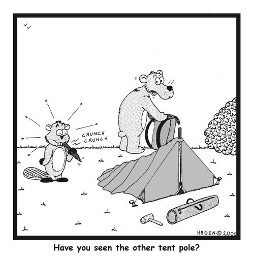 Have you seen the other tent pole?