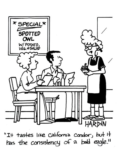 'It tastes like California condor, but it has the consistency of bald eagle.'