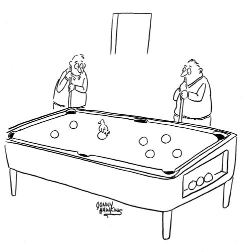 Bird sitting on pool cueball, as though it is an egg.