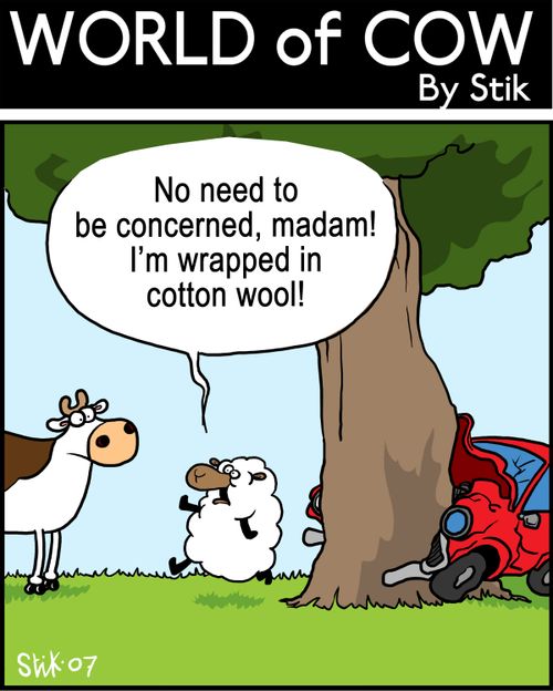 No need to be concerned, madam! I'm wrapped in cotton wool!