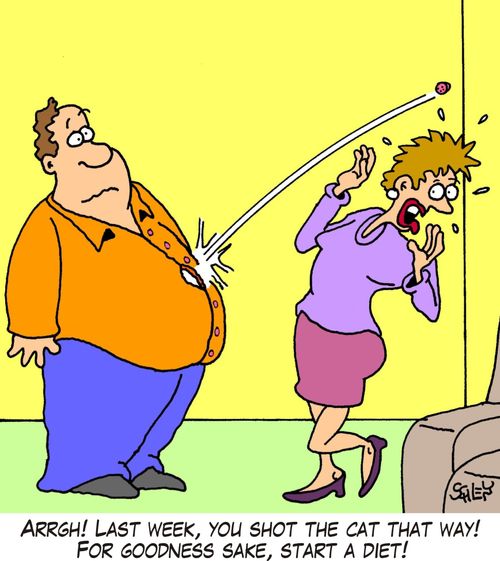 Argh! Last week, you shot the cat that way! For goodness sake, start a diet!