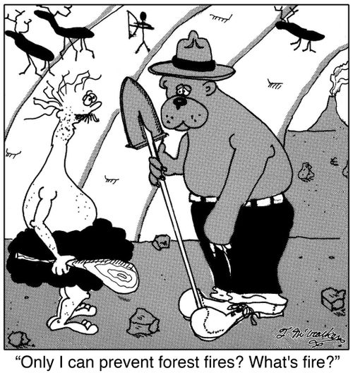 'Only I can prevent forest fires? What's fire?'