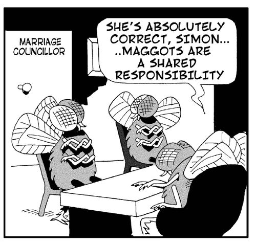 Marriage Councillor: 'She's absolutely correct, Simon, maggots are a shared responsibility.'
