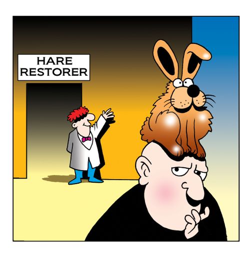 Hare restorer.