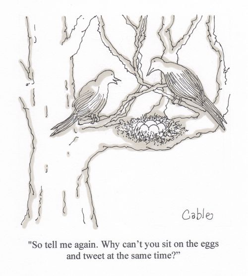 'So tell me again. Why can't you sit on the eggs and tweet at the same time?'