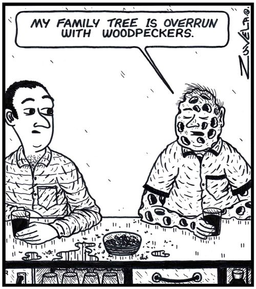 Man: 'My Family tree is overrun with Woodpeckers.' 