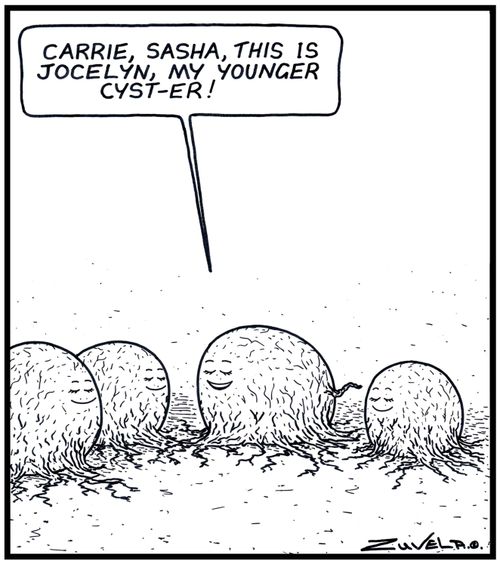 Cyst: 'Carrie,Sasha,this is Jocelyn,my younger Cyst-er!' 