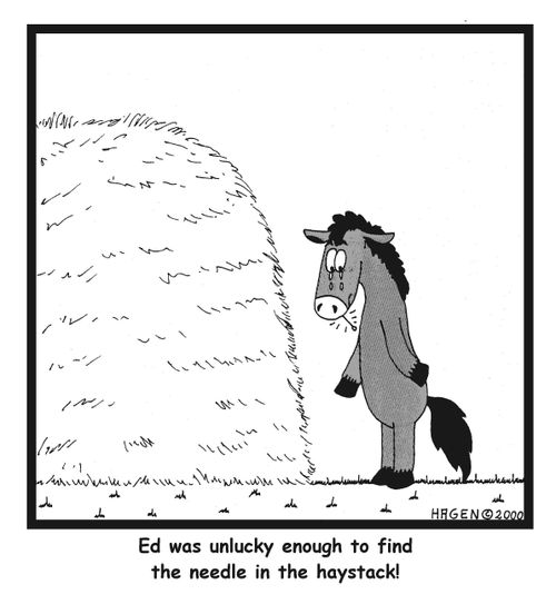 Ed was unlucky enough to find the needle in the haystack.