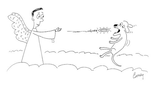 Angel Throwing Halo for Dog to Fetch