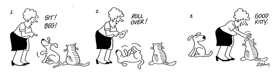 Sit! Beg! Roll over! Good Kitty