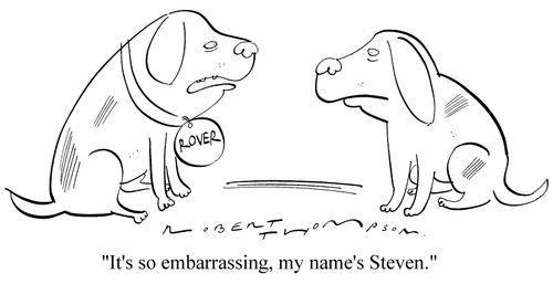 Dog with Rover tag. - "It's so embarassing, my name's Steven."