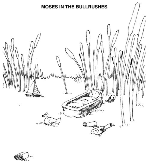 'Moses in the bullrushes'