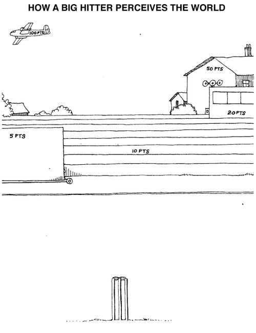 How a big hitter perceives the world, various objects outside of pitch numbered as points